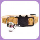Kitten-135
